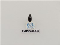 藏品(鞘翅目(2))的圖片